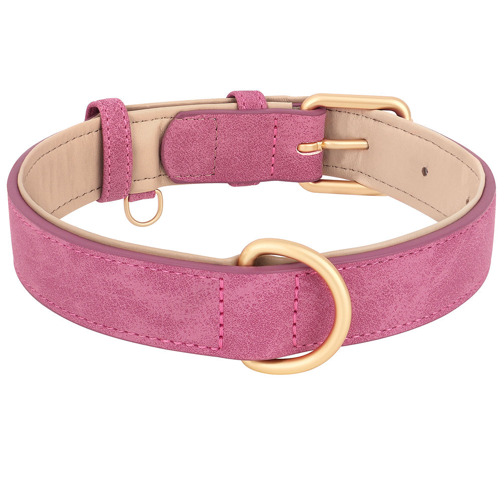 PrimePaw™ | Stylische Lederhalsband