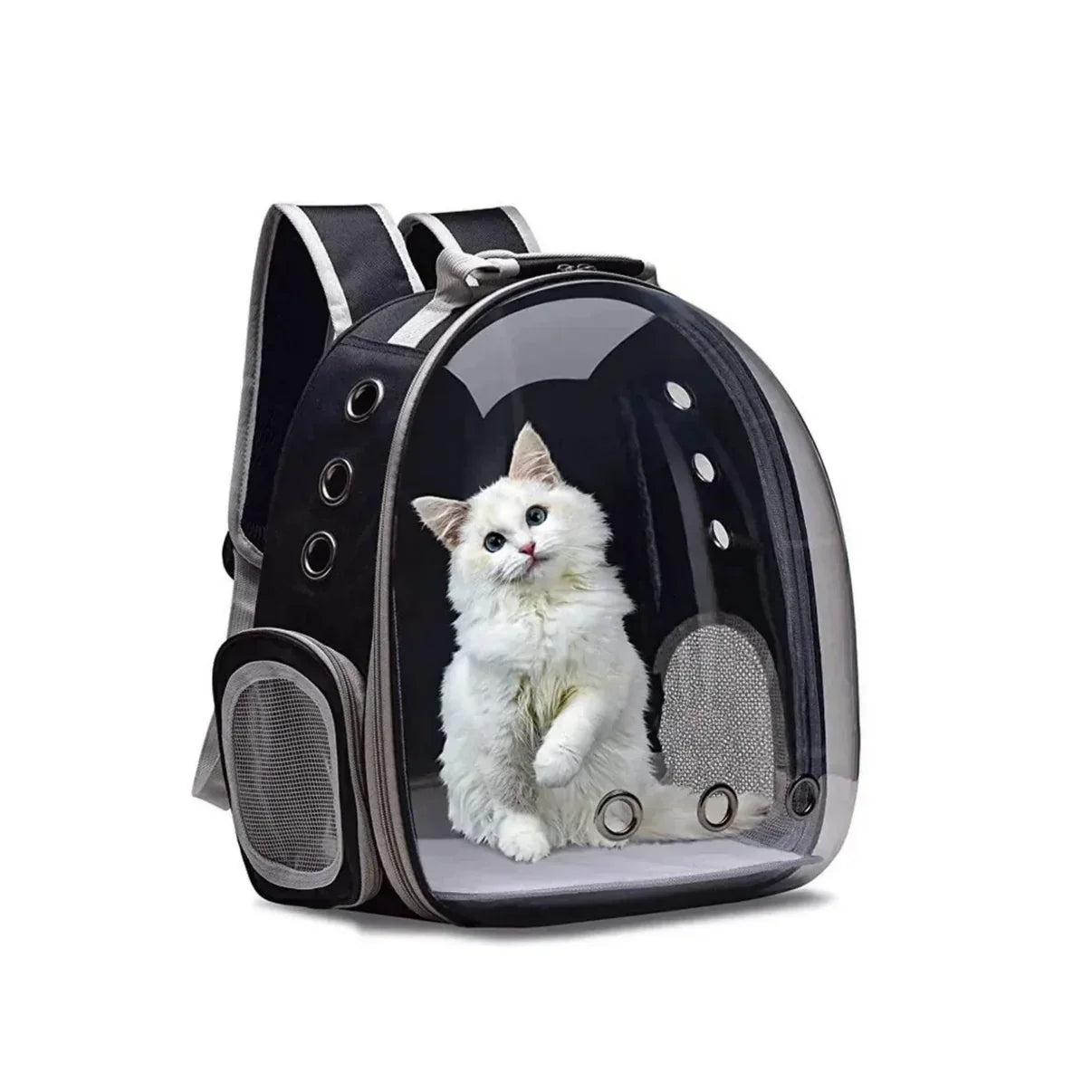 KittyCabin™ | Travel with Peace of Mind