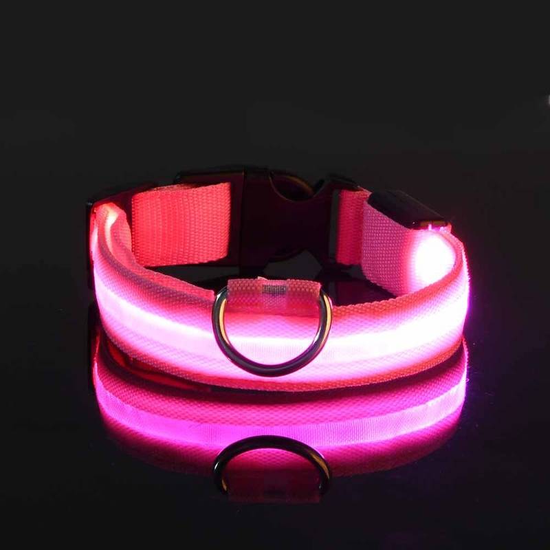 GlowDog™ | Reduce Anxiety About Collisions