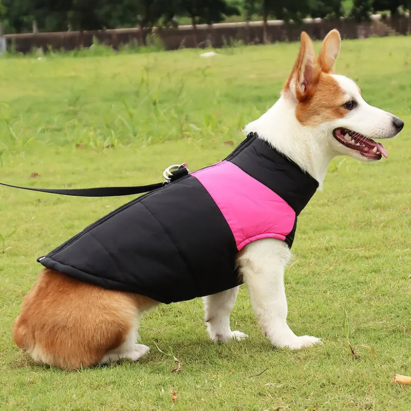 CoatPals™ | No more stress about rain and cold