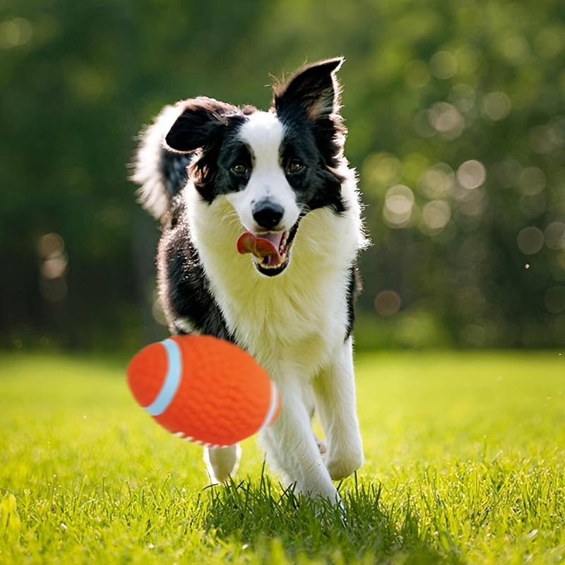 BiteBlitz™ | Chew Toy for Dogs