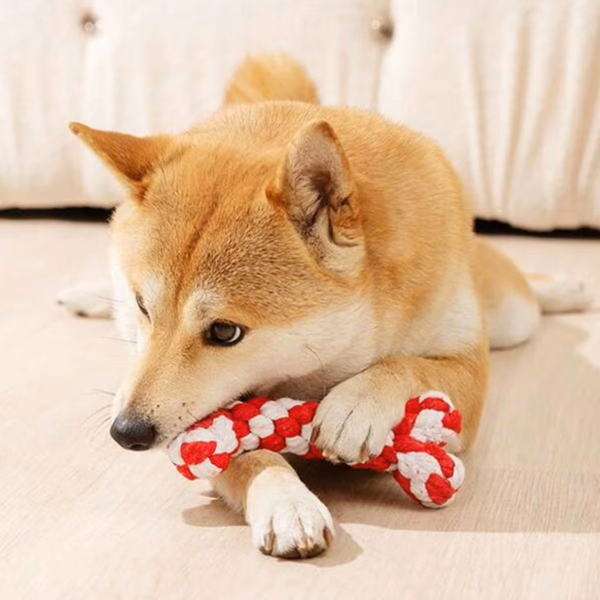DentRope™ | Powerful for Intensive Chewers