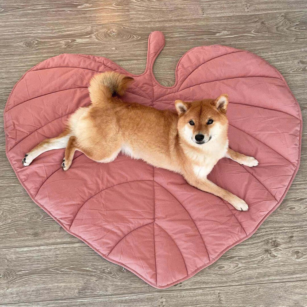 PetLeaf™ | Calming Orthopaedic Blanket