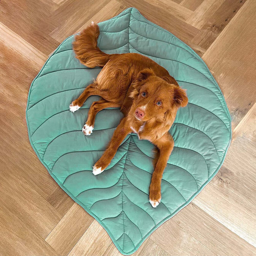 PetLeaf™ | Calming Orthopaedic Blanket