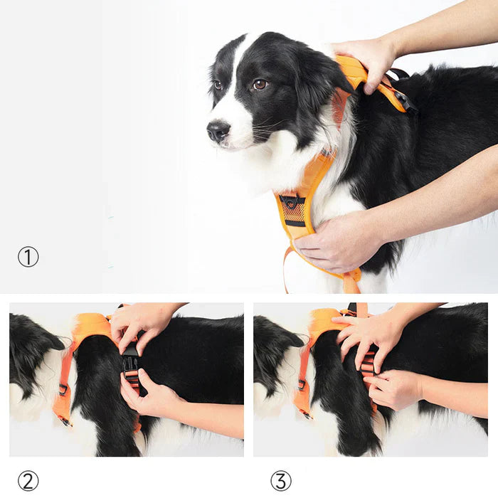 SmartWalk™ | No more stress from pulling dogs