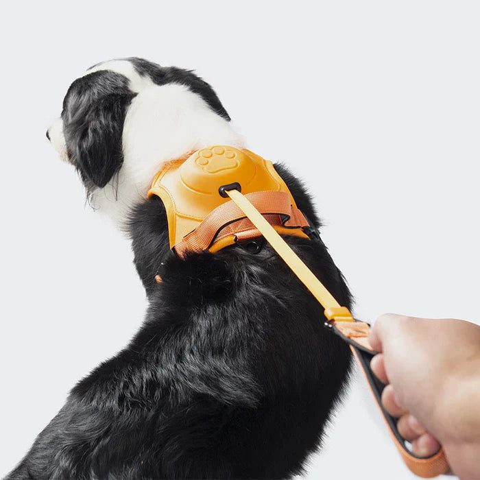 SmartWalk™ | No more stress from pulling dogs