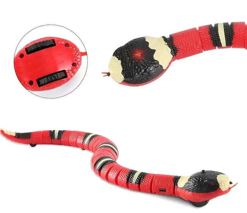 PawSpeel | Interactive fun for pets