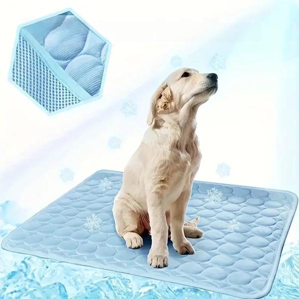 IcyWoof™ | The Best Summer Solution