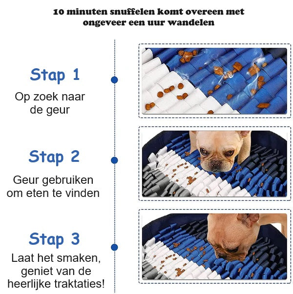 FlavorFind™ | Dog Interactive Snuffle Mat