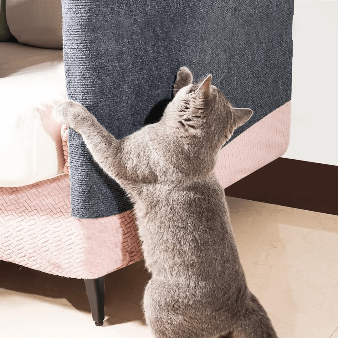 PurrProtec™ | For Scratch-Free Furniture