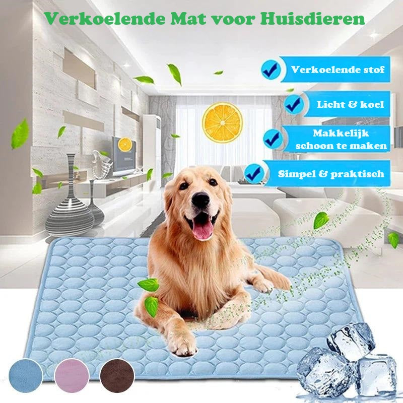 IcyWoof™ | The Best Summer Solution