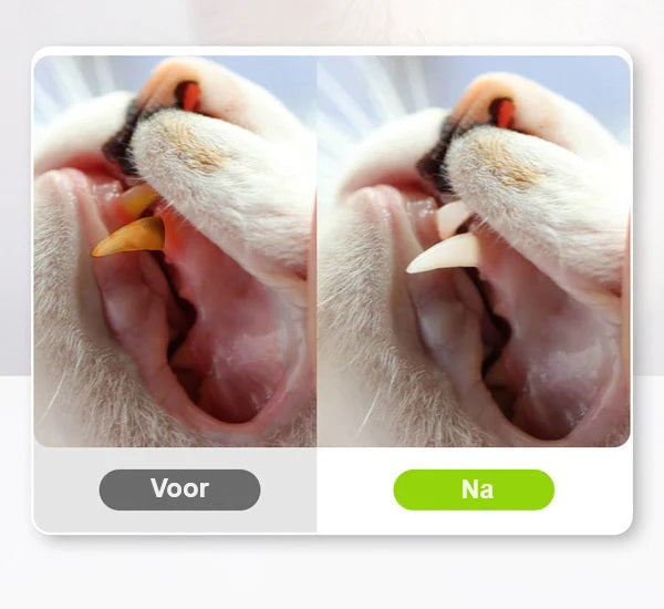 KittyBliss™ | For healthy nails without clipping