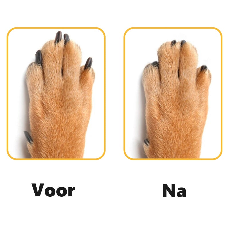Nailscape™ | Prevent Furniture Damage and Keep Nails Healthy