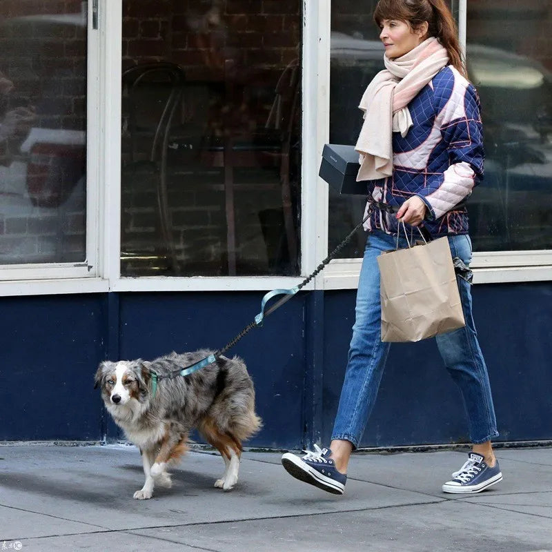 WalkWag™ | Enjoy Effortless Walks