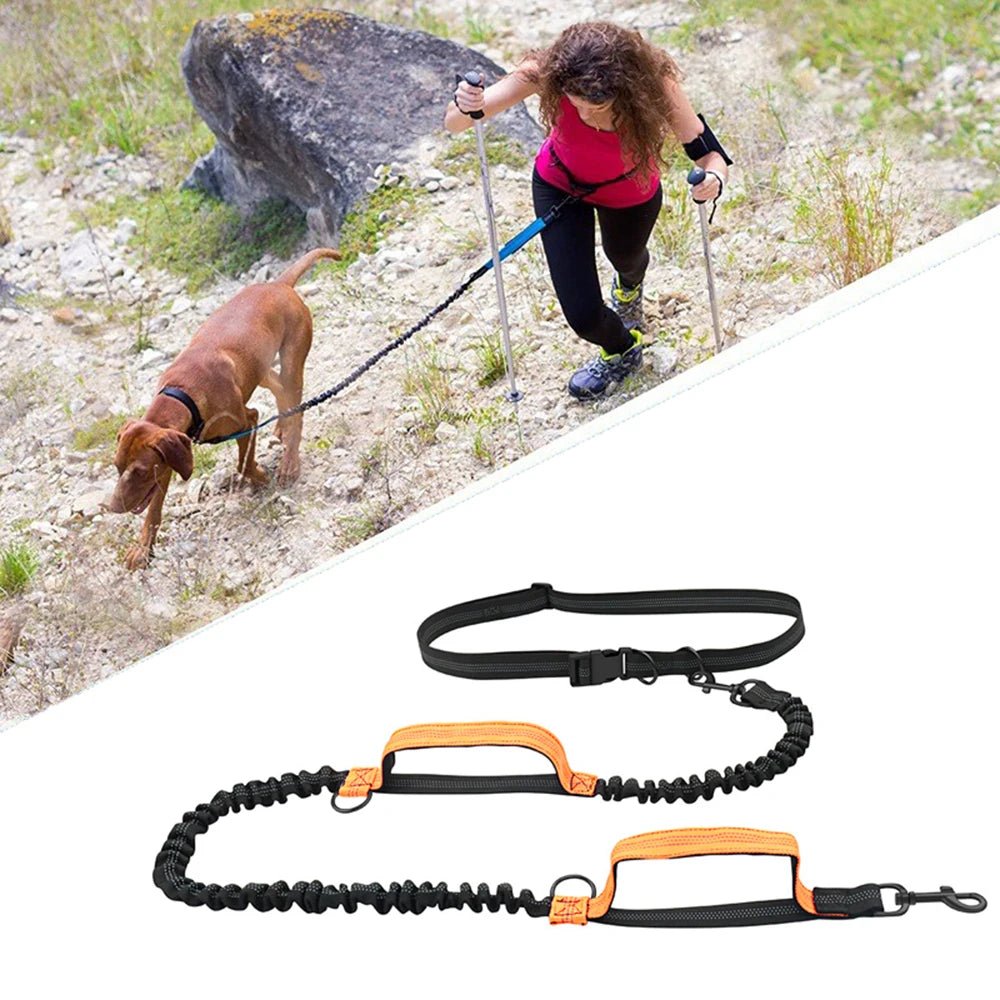 WalkWag™ | Enjoy Effortless Walks