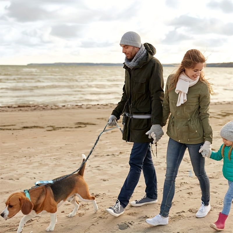 WalkWag™ | Enjoy Effortless Walks