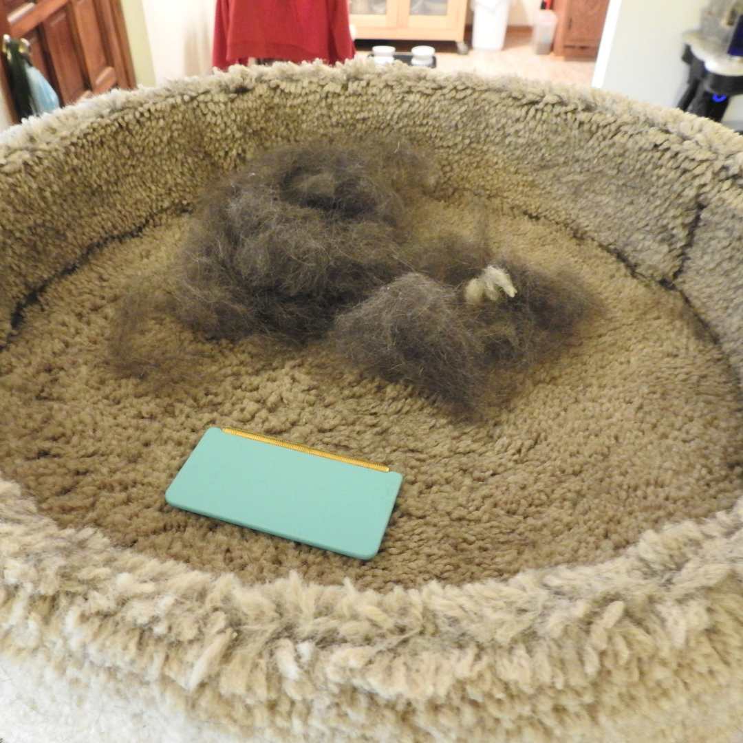 PurrClean™ | Enjoy a hair-free home!