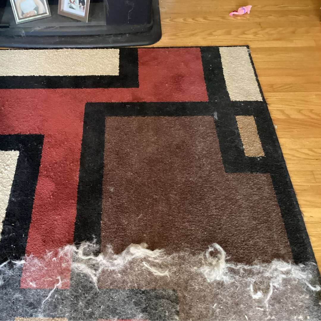 PurrClean™ | Enjoy a hair-free home!