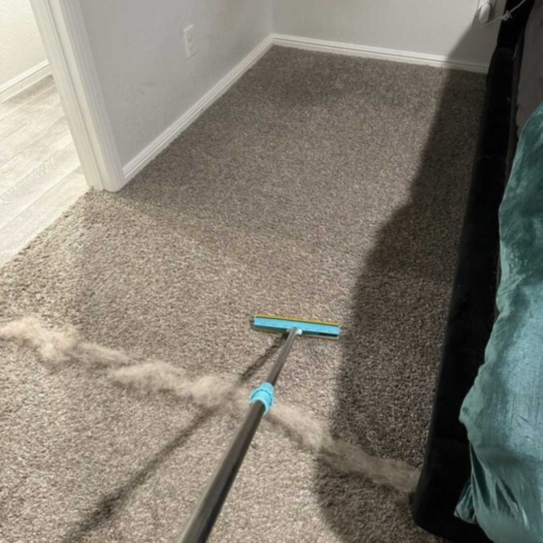 PurrClean™ | Enjoy a hair-free home!