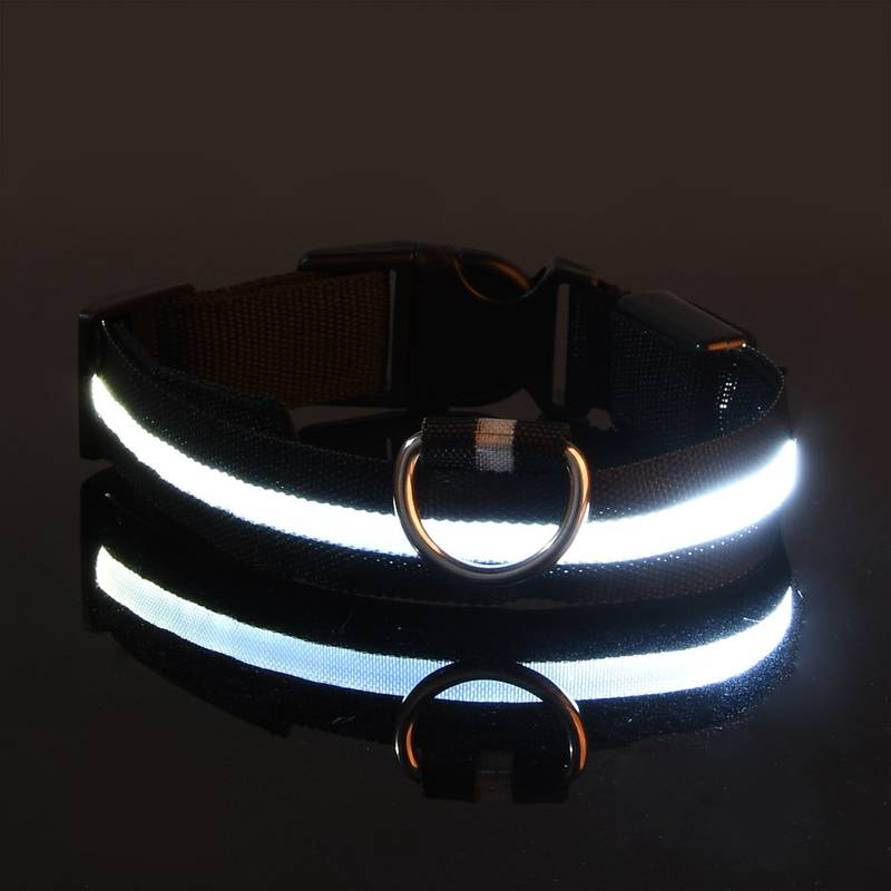 GlowDog™ | Reduce Anxiety About Collisions