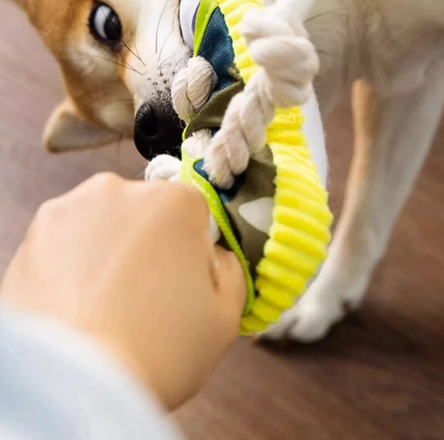 ShoeBite™ | Squeaky Shoe Toy