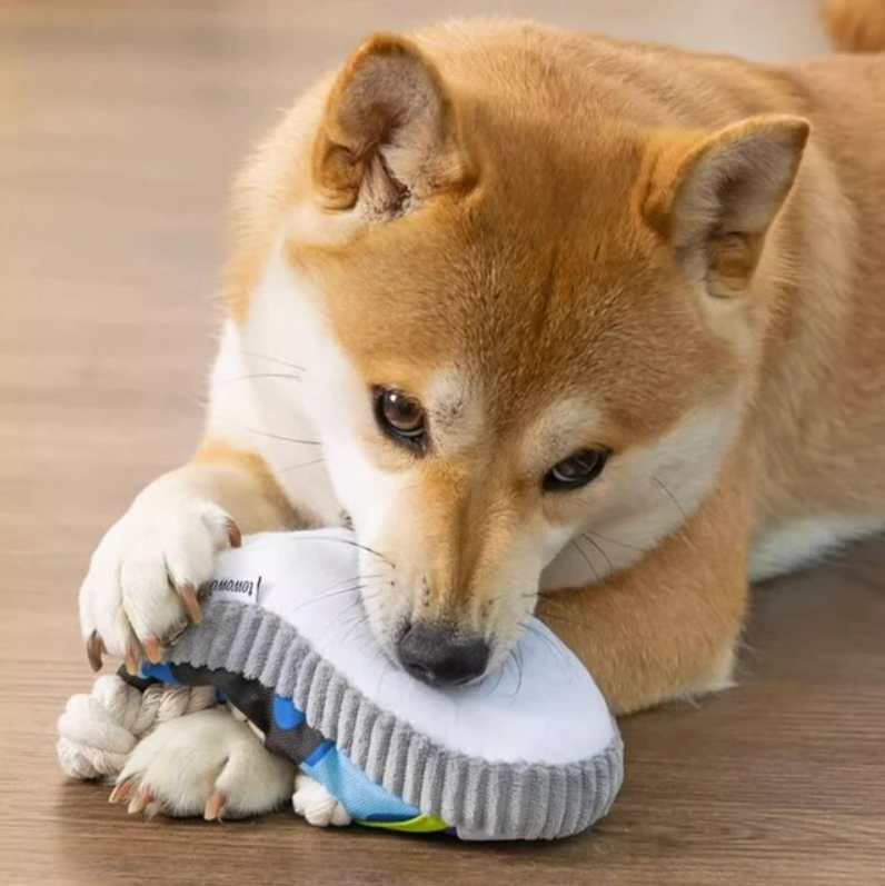 ShoeBite™ | Squeaky Shoe Toy