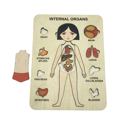 Human Body ™ - Puzzle de pile éducative