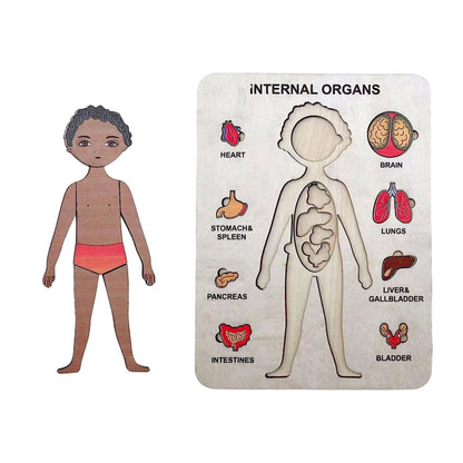 Human Body ™ - Puzzle de pile éducative