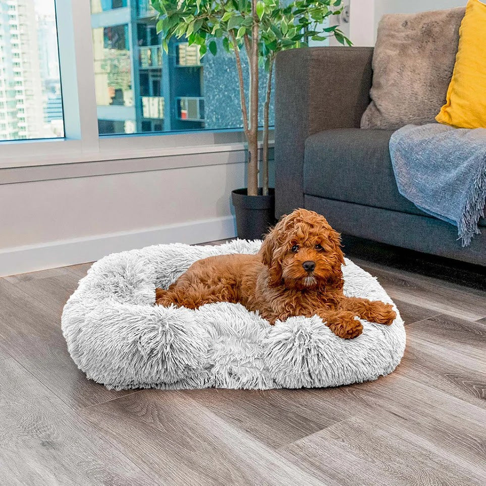 ComfortPaws | Kalmerend Bed (Memory Foam)