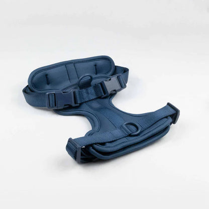 FlexiPaws™ | Stress-Free Harness Without Pulling