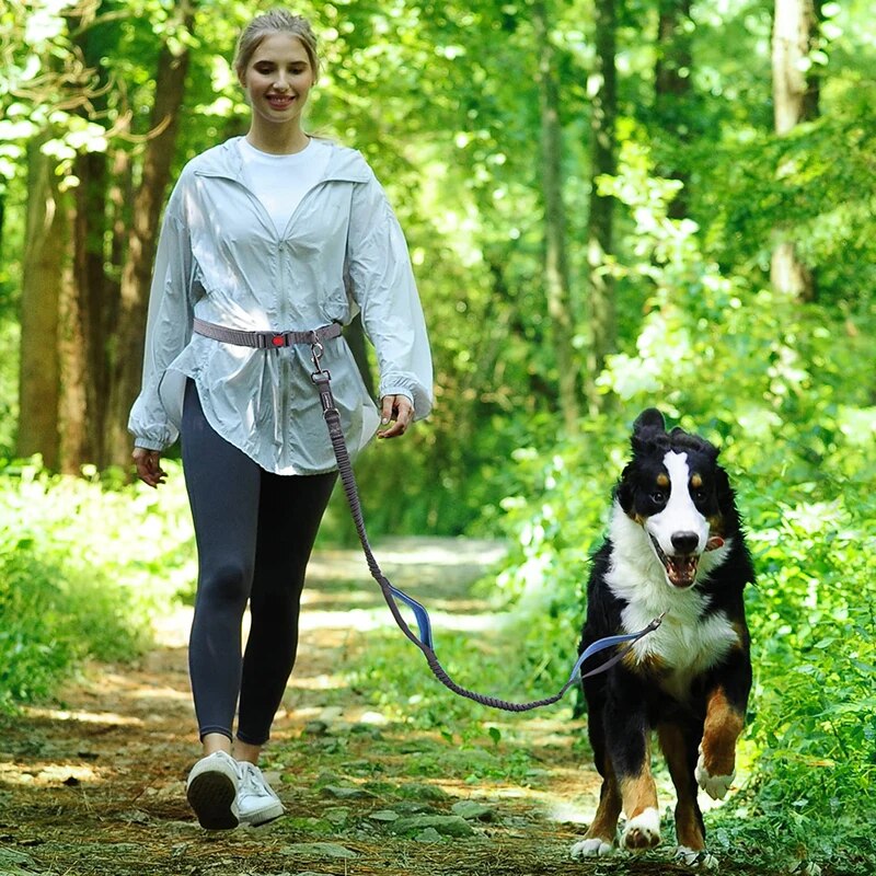 WalkWag™ |  Genießen Sie mühelose Spaziergänge