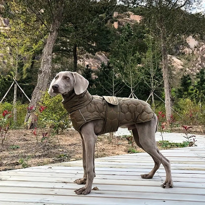 Pfotenschutz | Warmer und wasserdichter Hundemantel