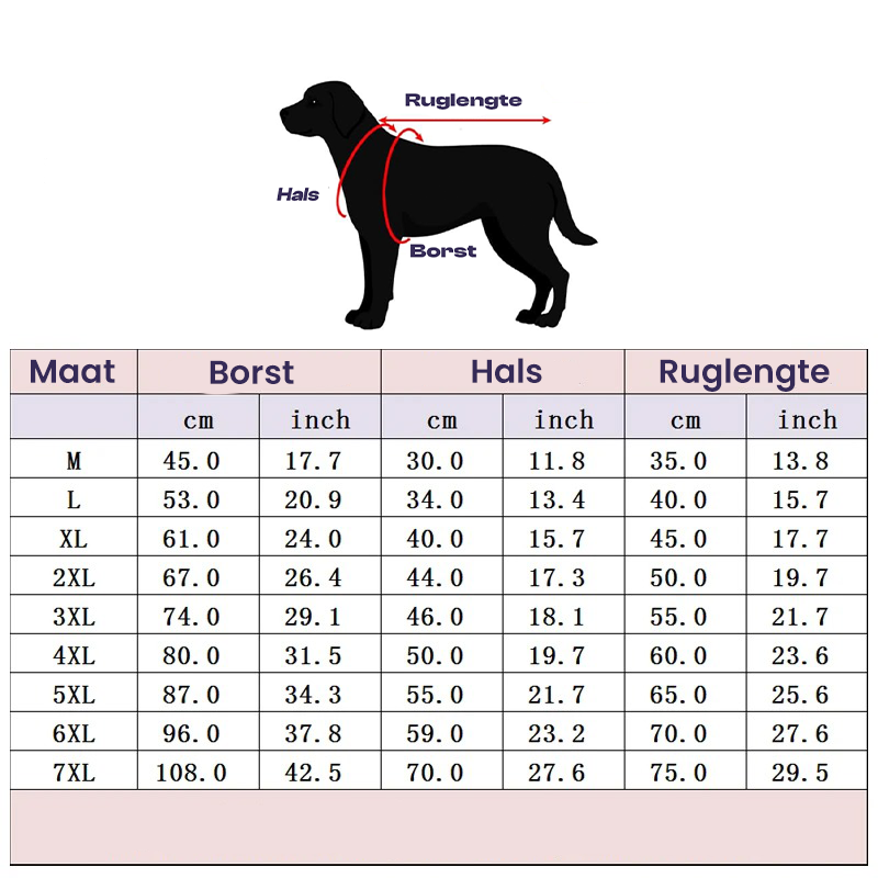 CoolBuddy | Gardez votre animal toujours au sec et au frais