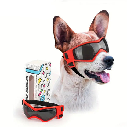 PupVisor™ | Trendy UV-hundebriller