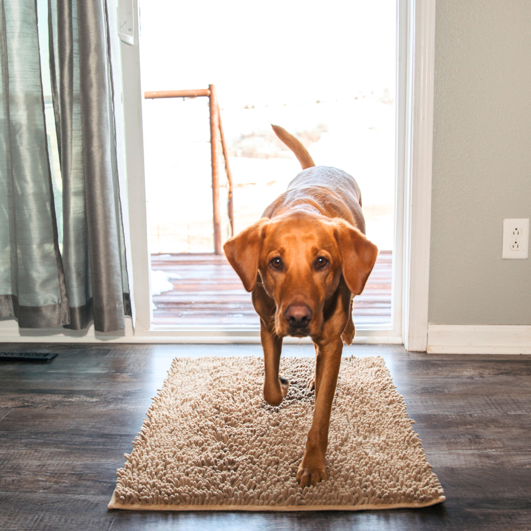 CleanPawMat | Päästä eroon Muddy Paw -jäljistä