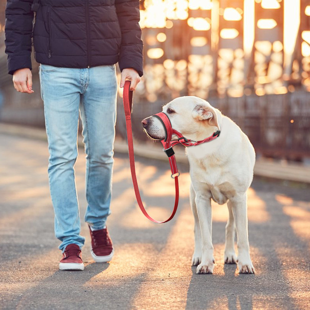 SnoutGuard | Stop Blaffen en Bijten Zonder Stress