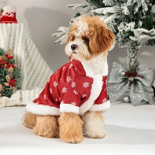 WinterWonders | Luxuriöses warmes Winteroutfit für Hunde