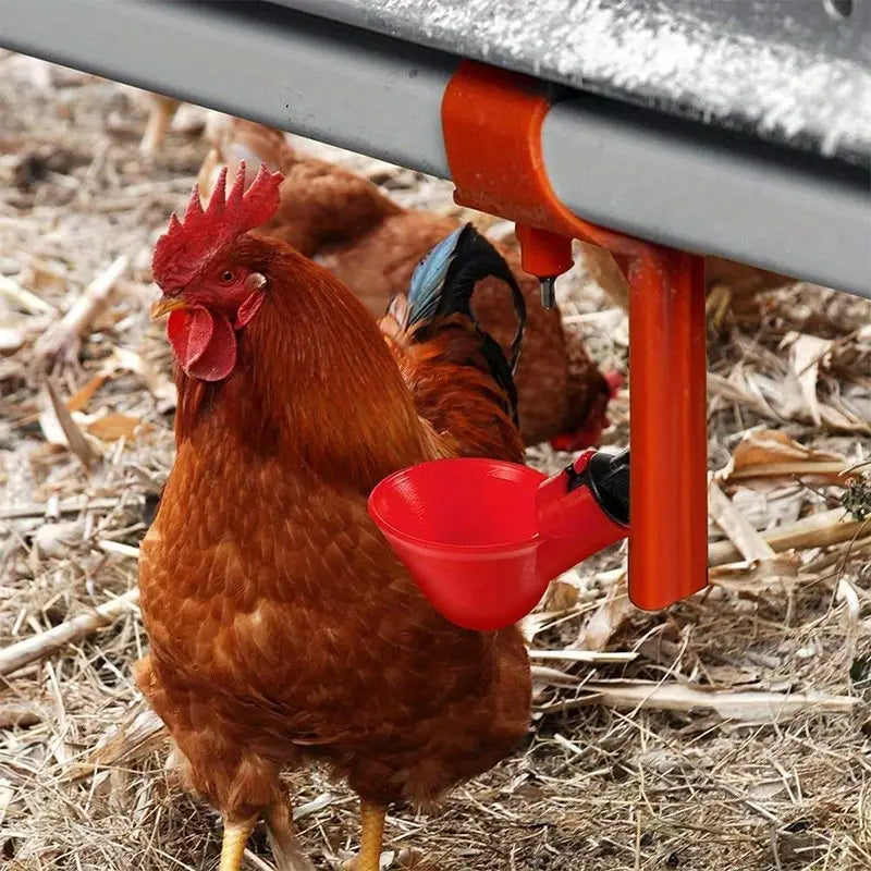 FreshFlock  | Altijd Vers Voor Je Kippen