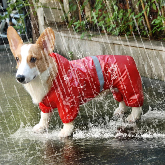 Pattes de pluie | Fini les fourrures mouillées et malodorantes