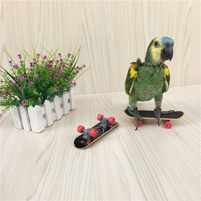 SkateBird™ | Det ultimative skateboard til fugle