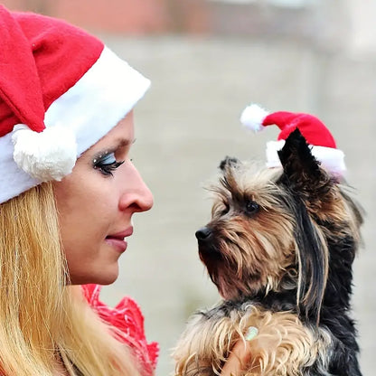 Pattes de vacances | Bonnet de Père Noël doux pour des moments chaleureux de Noël