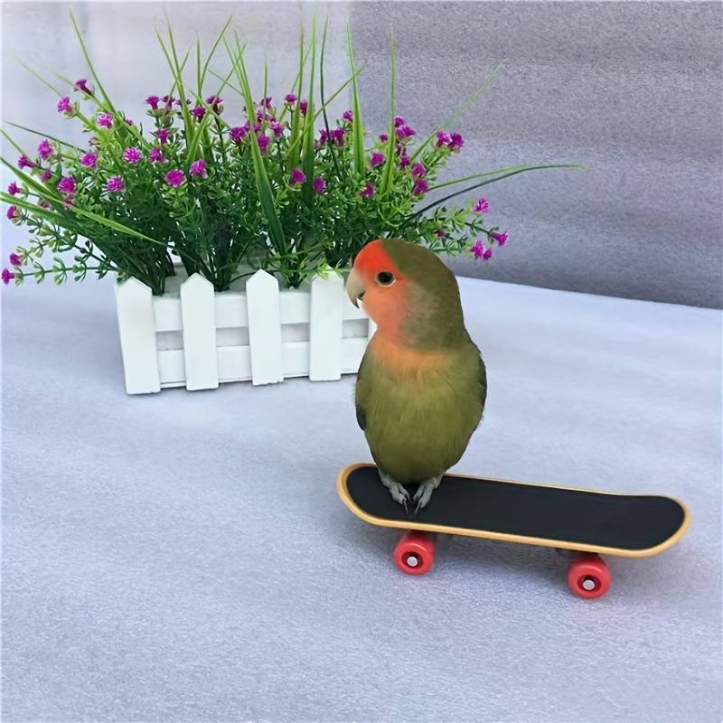 SkateBird™ | Det ultimative skateboard til fugle