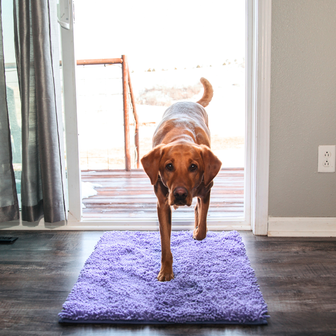 CleanPawMat | Päästä eroon Muddy Paw -jäljistä