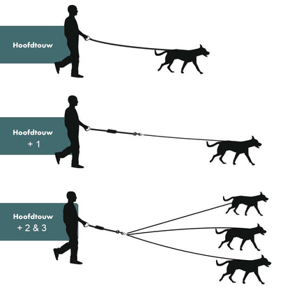 LeashUp™ | Delt snor til tre hunde