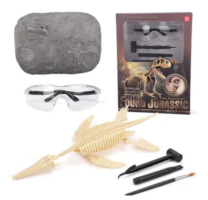 Kit fossile de dinosaure - explorer et découvrir