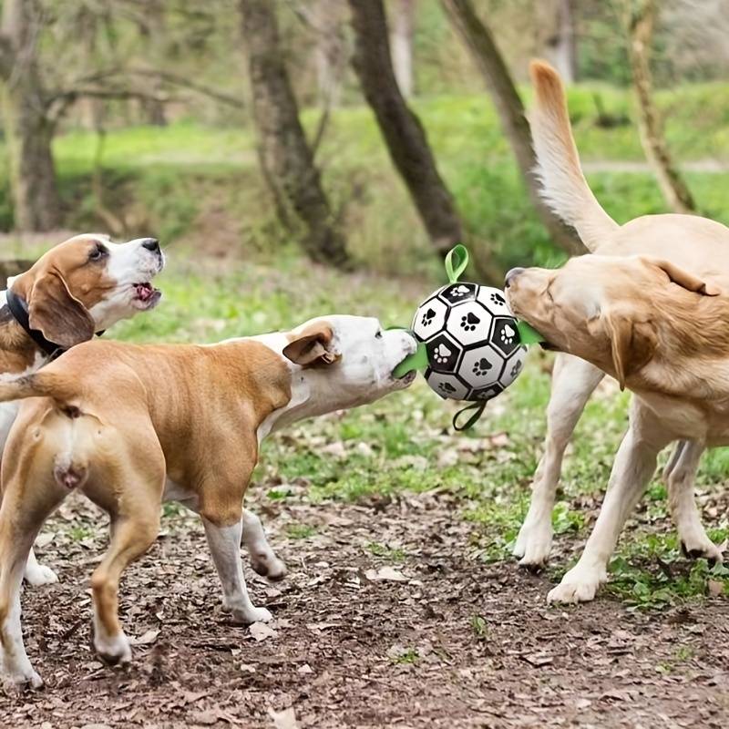 FlapFetch™ | Gør hunde glade og aktive