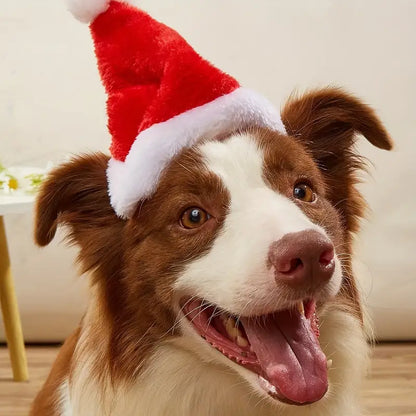 Pattes de vacances | Bonnet de Père Noël doux pour des moments chaleureux de Noël