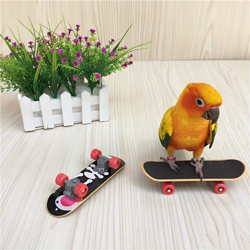 SkateBird™ | Det ultimative skateboard til fugle