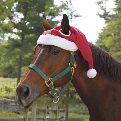 Daisy | Warm Santa Hut fir Äert Päerd ze blénken