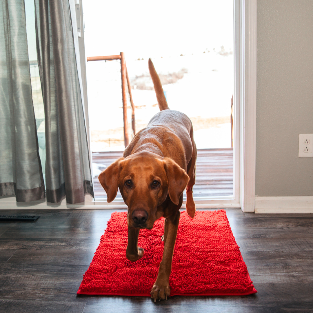 CleanPawMat | Päästä eroon Muddy Paw -jäljistä